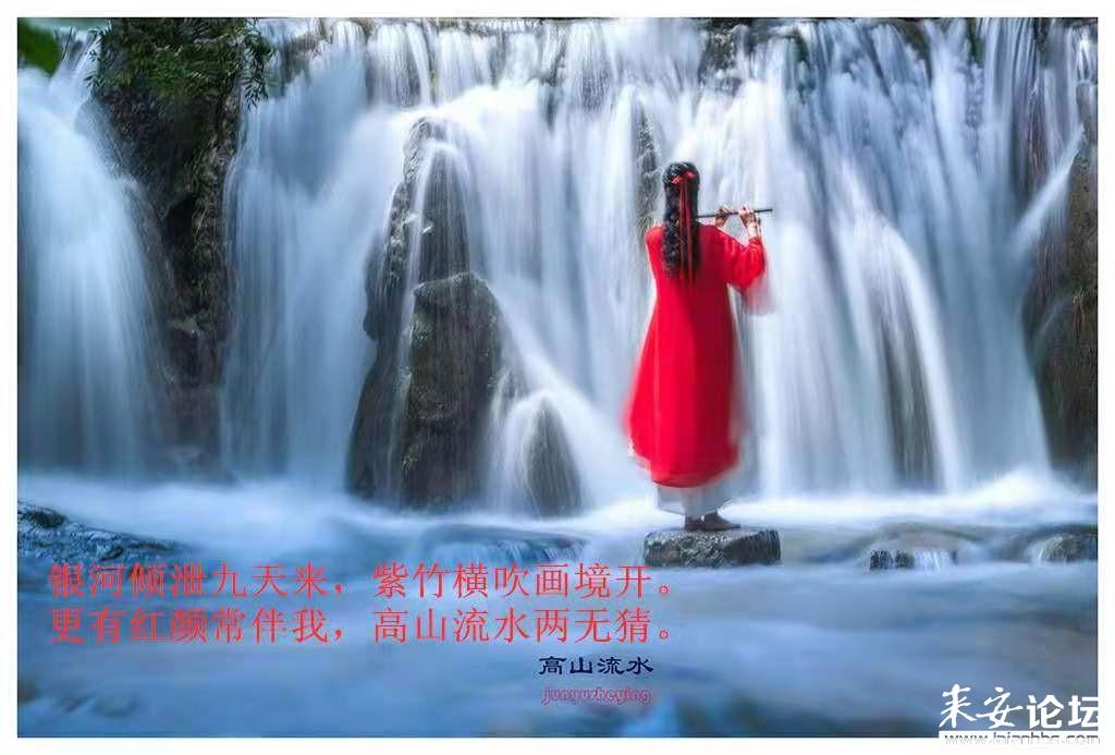 逃离橙园